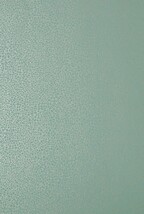グリーン 抽象デザイン 1838ウォールカバリング  1ロール10m 1907-141-05 輸入壁紙