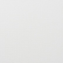 ホワイト 織物調 防かび 抗菌 表面強化 撥水 消臭   ルノン RF8035
