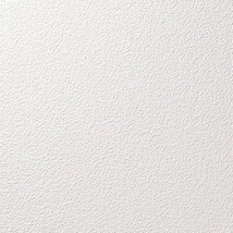 ライトアイボリー 塗り壁調 消臭  透湿性 防かび   ルノン RF8087