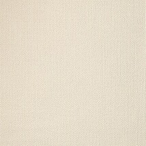 アイボリー 織物調 防かび  表面強化 撥水 消臭   ルノン RF8090