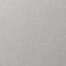 ライトグレー 織物調 消臭 防かび   ルノン RF8096