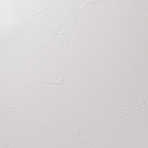 ホワイト 塗り壁調 防かび  撥水 消臭   ルノン RF8119