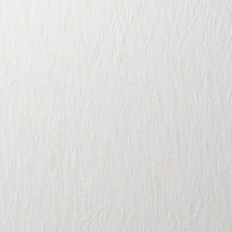 ライトアイボリー 織物調 消臭 防かび   ルノン RF8136