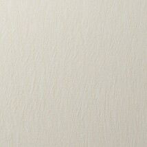 アイボリー 織物調 消臭 防かび   ルノン RF8137