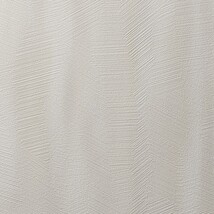 アイボリー 塗り壁調 防かび  表面強化 撥水 消臭   ルノン RF8141