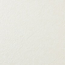 アイボリー 塗り壁調 防かび  表面強化 撥水 消臭   ルノン RF8167