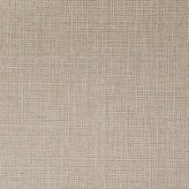 ライトブラウン 織物調 汚れ防止 抗菌 表面強化 防かび   ルノン RF8194