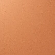 オレンジ 塗り壁調 汚れ防止 抗菌 表面強化 防かび   ルノン RF8233
