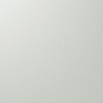 グリーン 塗り壁調 汚れ防止 抗菌 表面強化 防かび   ルノン RF8238