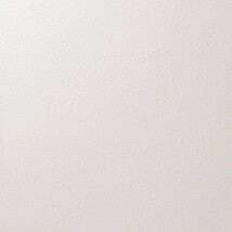 アイボリー 塗り壁調 汚れ防止 抗菌 表面強化 防かび   ルノン RF8254