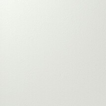 シャドーホワイト 塗り壁調 汚れ防止 抗菌 表面強化 防かび   ルノン RF8269