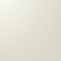 アイボリー 塗り壁調 汚れ防止 抗菌 表面強化 防かび   ルノン RF8283