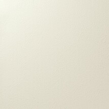 アイボリー 塗り壁調 汚れ防止 抗菌 表面強化 防かび   ルノン RF8284