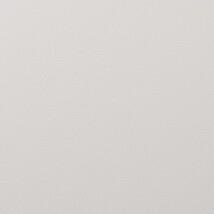 ベージュ 塗り壁調 抗ウィルス 抗菌 防かび 表面強化 撥水   ルノン RF8332