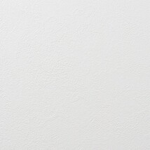 ライトアイボリー 塗り壁調 抗ウィルス 抗菌 防かび   ルノン RF8334