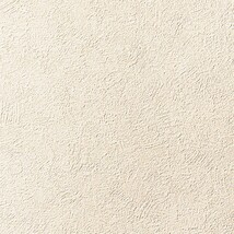 ベージュ 塗り壁調 抗アレルギー 防カビ   ルノン RF8355