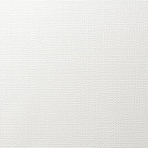 ホワイト 織物調 抗アレルギー 防カビ   ルノン RF8361