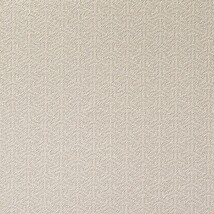 ベージュ 幾何学模様 防かび   ルノン RF8465