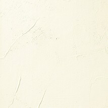 ライトアイボリー 塗り壁調 消臭 防かび   ルノン RH-9055