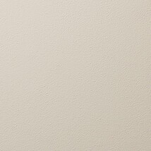ベージュ 塗り壁調 防かび 抗菌 表面強化 撥水 消臭   ルノン RH-9064