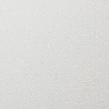 グリーン 塗り壁調 防かび 抗菌 表面強化 撥水 消臭   ルノン RH-9067