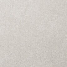ライトグレー コンクリート・モルタル 防かび 抗菌 表面強化 撥水   ルノン RH-9080