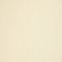 ライトアイボリー 織物調 消臭 防かび   ルノン RH-9121
