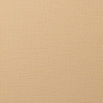 オレンジ 織物調 防かび 抗菌 表面強化 撥水 消臭   ルノン RH-9137