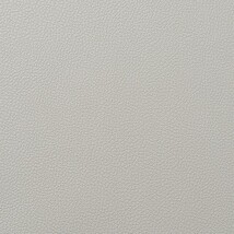 ライトグレー 塗り壁調 防かび  撥水   ルノン RH-9259