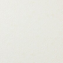 アイボリー キャラクター＆イラスト 防かび 蓄光 消臭   ルノン RH-9356