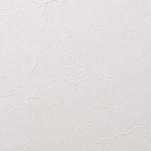 アイボリー 塗り壁調 汚れ防止 抗菌 表面強化 防かび   ルノン RH-9369