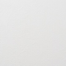 ホワイト 塗り壁調 抗ウィルス 抗菌 防かび   ルノン RH-9415