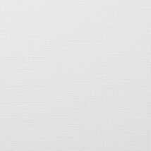 ホワイト 織物調 抗ウィルス 抗菌 防かび   ルノン RH-9419