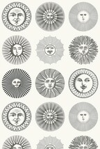 ホワイト キャラクター＆イラスト Cole＆Son   1ロール10m 123-1001 輸入壁紙