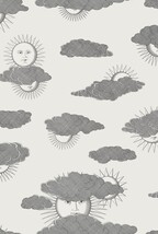 ライトグレー キャラクター＆イラスト Cole＆Son   1ロール10m 123-2007 輸入壁紙