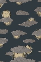 ブラック キャラクター＆イラスト Cole＆Son   1ロール10m 123-2008 輸入壁紙