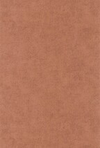 ブラウン 無地 CASADECO  1ロール10m MNRL88093408 輸入壁紙