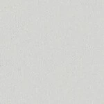 ライトグレー 塗り壁調  防かび SINCOL BB2124 旧品番BB8340