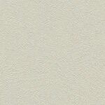 ライトグレー 塗り壁調 トルウイルスS/耐クラック 抗ウィルス 抗菌 防かび SINCOL BB2152 旧品番BB8345