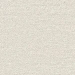 ライトグレー 塗り壁調 トルウイルスS/耐クラック 抗ウィルス 抗菌 防かび SINCOL BB2180 