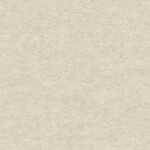 ベージュ 抽象デザイン 光触媒 防かび 抗菌 表面強化 消臭 SINCOL BB8098 旧品番BB9204