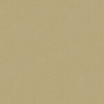 グリーン 塗り壁調  防かび SINCOL BB8218 旧品番BB9295