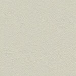ライトグレー 塗り壁調 耐クラック 抗ウィルス 抗菌 防かび SINCOL BB8345 