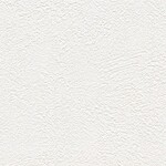 ホワイト 塗り壁調 耐クラック 抗ウィルス 抗菌 防かび SINCOL BB8348 