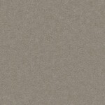 グレー 塗り壁調  抗ウィルス 抗菌 防かび SINCOL BB8578 