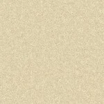 グリーン 塗り壁調 光触媒 消臭 抗菌 防かび SINCOL BB8584 