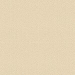 ベージュ 塗り壁調  防かび SINCOL BB8587 旧品番BB9474