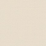 ベージュ 抽象デザイン  防かび SINCOL BB8671 旧品番BB9445
