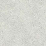 ライトグレー コンクリート・モルタル  防かび SINCOL BB9416