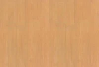 ライトブラウン 抗ウイルス＋抗菌 東リ CF9545